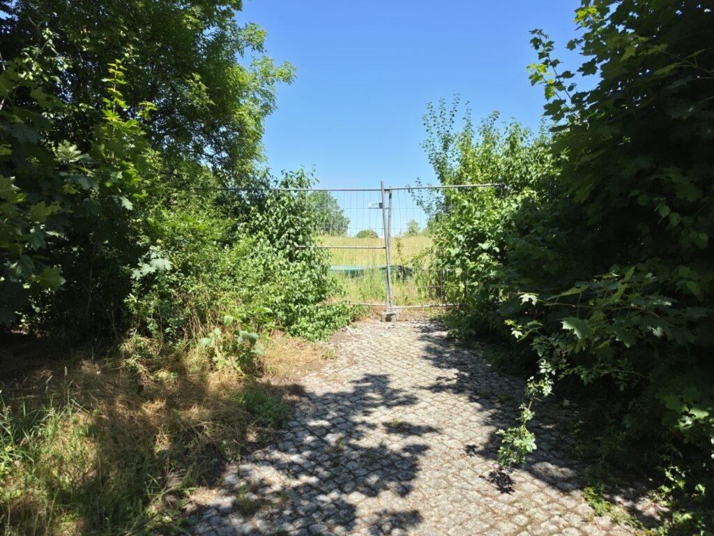 318521